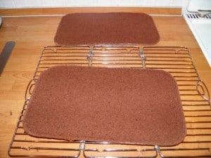 Pečeni biskvit prerezati po pola OLYMPUS DIGITAL CAMERA