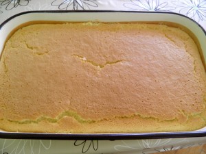 Izgled pečenog kolača